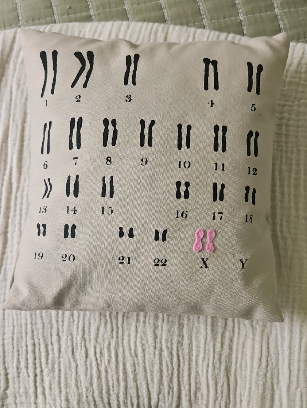 Chromosome Pattern Accent Pillow in Cream with Pink Detail